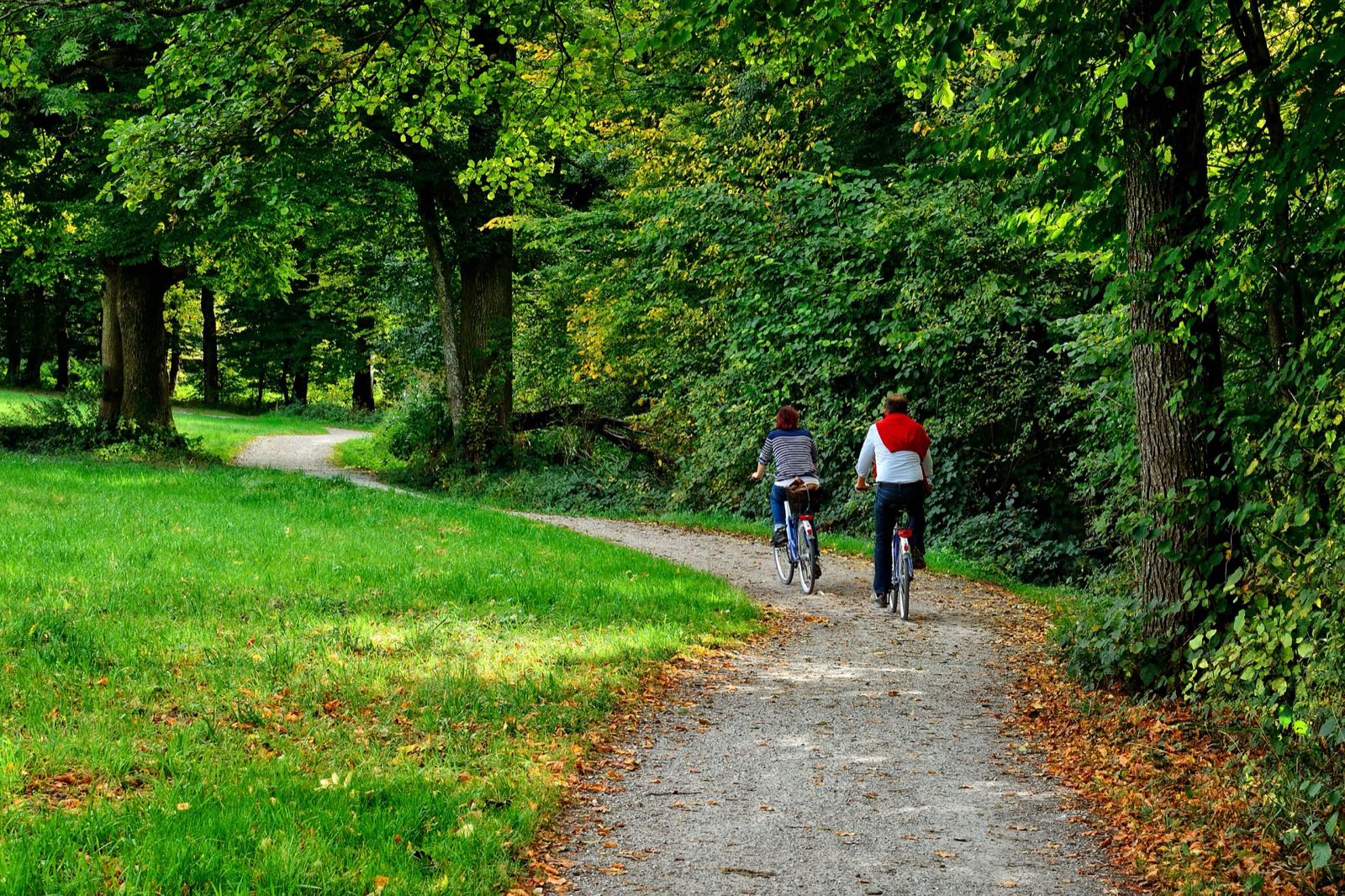 Vélo posé le long d’un chemin côtier